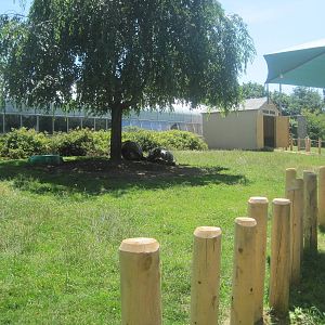 Giant Tortoise Exhibit