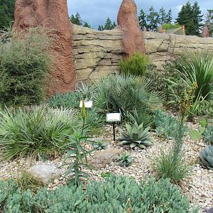 Kids Zone - Desert Garden outside Meerkat Exhibit