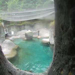 Rocky Shores - Pacific Walrus Exhibit