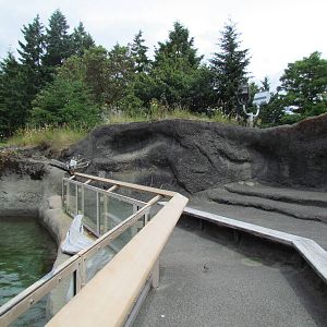 Rocky Shores - Harbor Seal Exhibit