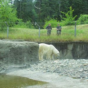 Arctic Tundra - Polar Bear Exhibit