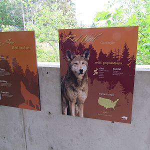 Red Wolf Woods