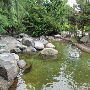 Magellanic Penguin Exhibit