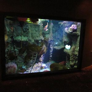 North Pacific Aquarium
