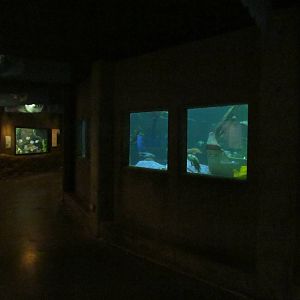 North Pacific Aquarium