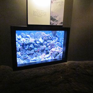North Pacific Aquarium