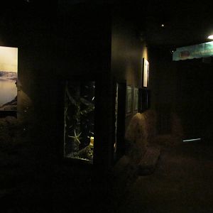 North Pacific Aquarium