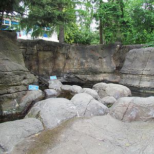 North Pacific Aquarium - Tidepool