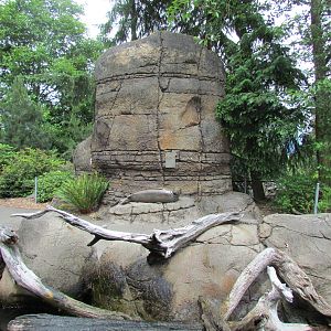 North Pacific Aquarium - Tidepool