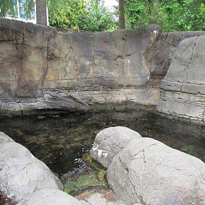 North Pacific Aquarium - Tidepool