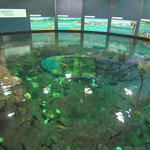 North Pacific Aquarium - Upper View