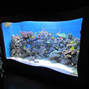 Marine Discovery Center