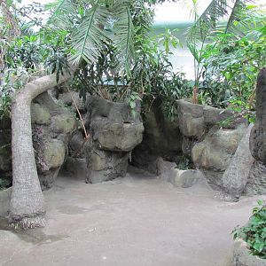 South Pacific Aquarium