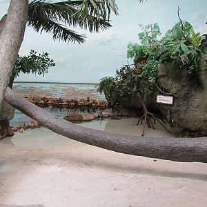 South Pacific Aquarium
