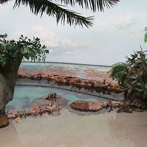 South Pacific Aquarium