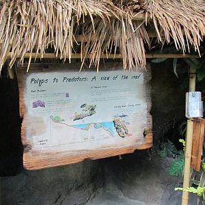 South Pacific Aquarium