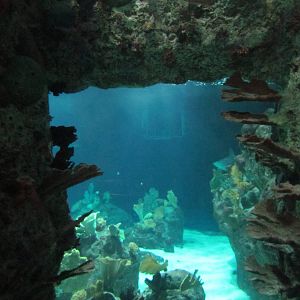 South Pacific Aquarium