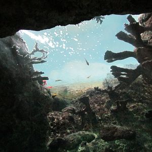 South Pacific Aquarium