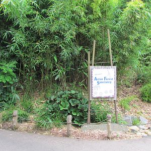 Asian Forest Sanctuary