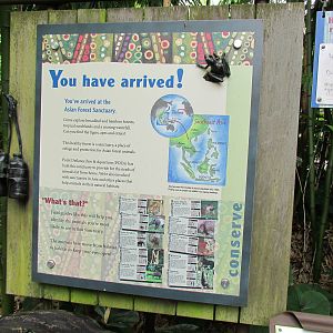 Asian Forest Sanctuary