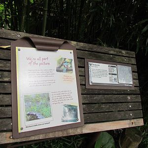Asian Forest Sanctuary
