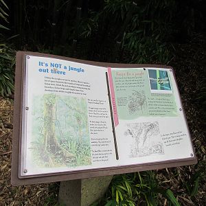 Asian Forest Sanctuary