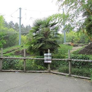 Asian Forest Sanctuary