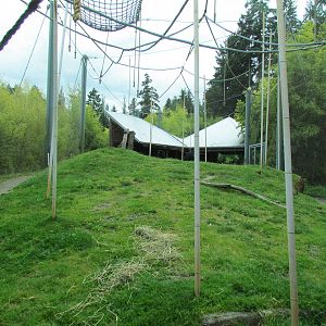 Asian Forest Sanctuary