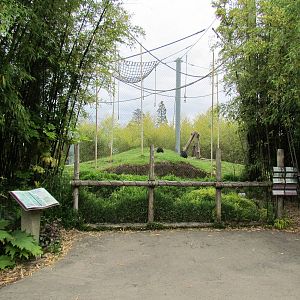 Asian Forest Sanctuary