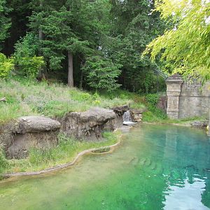 Asian Forest Sanctuary