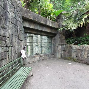 Asian Forest Sanctuary