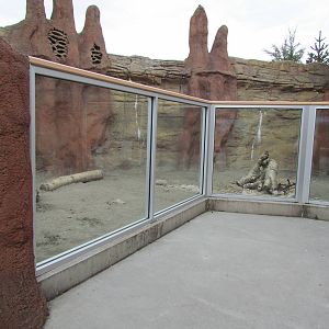 Kids Zone - Meerkat Exhibit