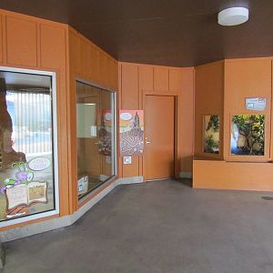Kids Zone - Exhibits