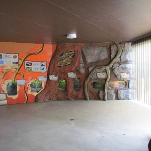 Kids Zone - Exhibits