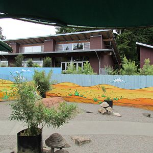 Kids Zone - Parma Wallaby Exhibit