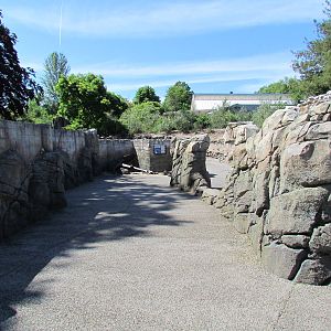 Humboldt Penguin Exhibit