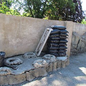 Humboldt Penguin Exhibit