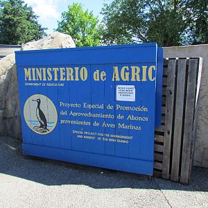 Humboldt Penguin Exhibit