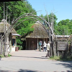 African Savanna - Entrance