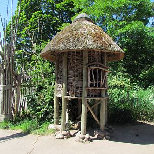 African Savanna - Village Grainary