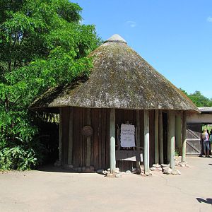 African Savanna - Village