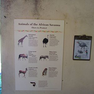African Savanna - Signage