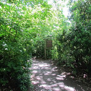 African Savanna - Trail