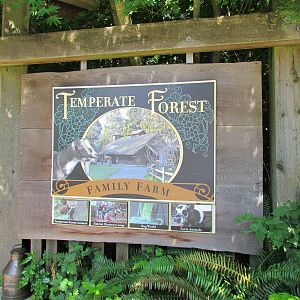Temperate Forest - Entrance