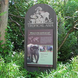 Elephant Forest - Entrance