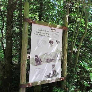 Northern Trail - Gray Wolf Signage