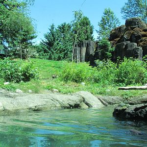 Northern Trail - Brown Bear Exhibit