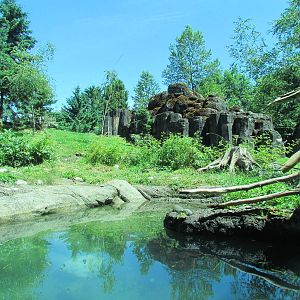 Northern Trail - River Otter Exhibit