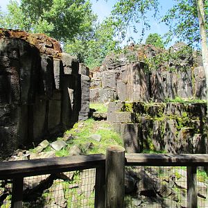 Northern Trail - Mountain Goat Exhibit