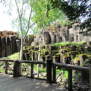 Northern Trail - Mountain Goat Exhibit